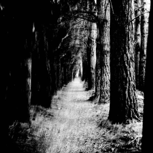 Stray Theories - Falter i gruppen CD / Kommende / Pop-Rock hos Bengans Skivbutik AB (5651839)