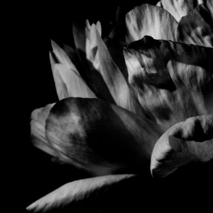 Louise Roam - Là Où Passe La Nuit i gruppen CD / Kommende / Pop-Rock hos Bengans Skivbutik AB (5651862)