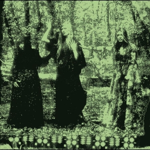 Tristwch Y Fenywod - Tristwch Y Fenywod i gruppen VINYL / Pop-Rock hos Bengans Skivbutik AB (5652059)