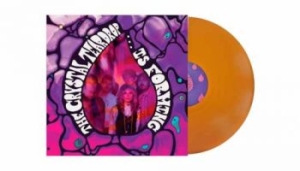 Crystal Teardrop The - Is Forming (Orange Vinyl Lp) i gruppen VI TIPSER / Fredagsutgivelser / 2026-01-09 hos Bengans Skivbutik AB (5652325)