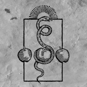 Darvaza - We Are Him i gruppen CD / Kommende / Metal hos Bengans Skivbutik AB (5652355)