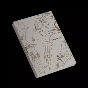 Enhypen - The Sin : Vanish (Afterlight Ver.) i gruppen VI TIPSER / Fredagsutgivelser / 2026-01-16 hos Bengans Skivbutik AB (5652590)