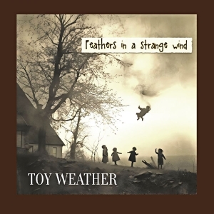 Toy Weather - Feathers In A Strange Wind i gruppen VINYL / Kommende / Pop-Rock hos Bengans Skivbutik AB (5652688)