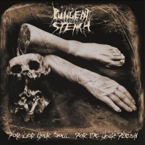 Pungent Stench - For God Your Soul? For Me Your Fles i gruppen VINYL / Kommende / Metal hos Bengans Skivbutik AB (5652775)