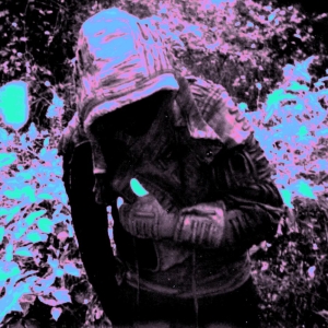 Lunacy - The Crisis Of Existence (Fog Clear i gruppen VINYL / Kommende / Pop-Rock hos Bengans Skivbutik AB (5652848)