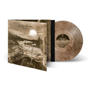 In The Woods - Otra (Marbled Vinyl Lp) i gruppen VI TIPSER / Fredagsutgivelser / 2026-01-16 hos Bengans Skivbutik AB (5652893)