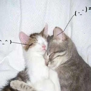 Retail Drugs - I Love You So! i gruppen Kommende / Pop-Rock hos Bengans Skivbutik AB (5653488)