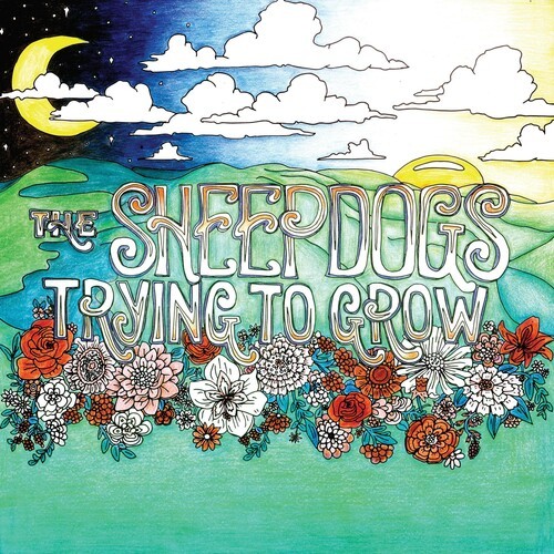 Sheepdogs The - Trying To Grow i gruppen CD / Pop-Rock hos Bengans Skivbutik AB (5653976)