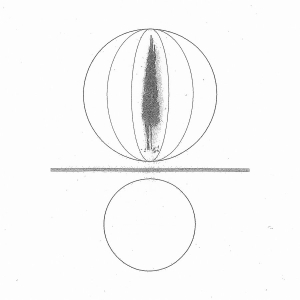 Stephen O'malley - Spheres Collapser i gruppen VINYL / Kommende / Dance-Techno hos Bengans Skivbutik AB (5654002)