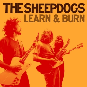 Sheepdogs The - Learn & Burn i gruppen VINYL / Kommende / Pop-Rock hos Bengans Skivbutik AB (5654015)
