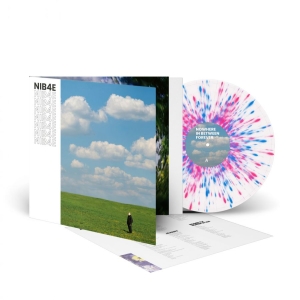 Lantlos - Nowhere In Between Forever (Splatte i gruppen VINYL / Kommende / Pop-Rock hos Bengans Skivbutik AB (5654032)