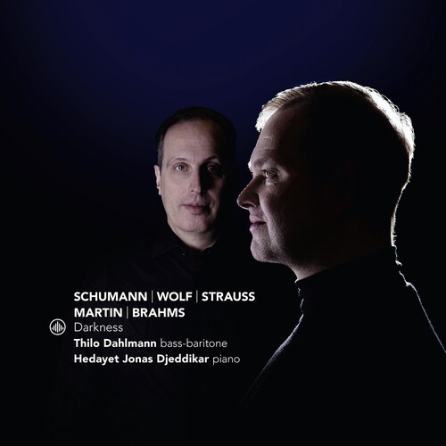 Thilo Dahlmann & Hedayet Jonas Djeddikar - Darkness i gruppen CD / Toppselgere hos Bengans Skivbutik AB (5654281)