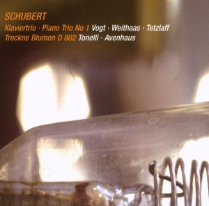 Lars Vogt & Antje Weithaas & Christian Tetzlaff - Schubert: Klaviertrio - Piano Trio No. 1/Trockne Blumen D 802 i gruppen CD / Klassisk hos Bengans Skivbutik AB (5654289)