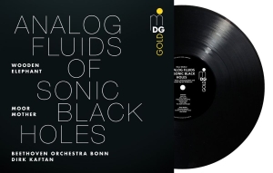 Moor Mother - Analog Fluids Of Sonic Black Holes i gruppen VINYL / Kommende / Pop-Rock hos Bengans Skivbutik AB (5654952)