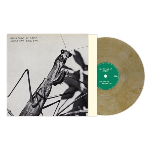 Courtney Barnett - Creature Of Habit (Caramel Color Vinyl) i gruppen VINYL / Kommende / Pop-Rock hos Bengans Skivbutik AB (5654976)
