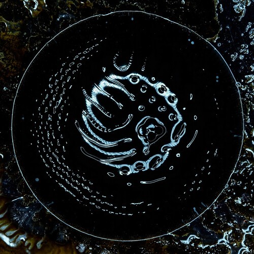 Stonus - Stonus i gruppen CD / Metal hos Bengans Skivbutik AB (5655319)