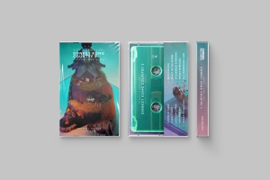 Michael Staple - Video Game Lofi: Donkey Kong Country 2: Diddy's Kong Quest (Clear i gruppen  hos Bengans Skivbutik AB (5655766)