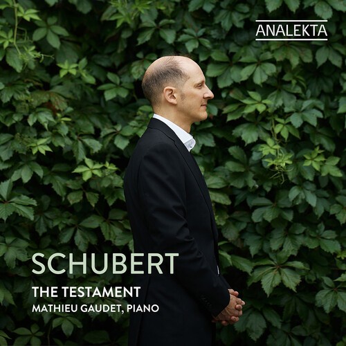 Franz Schubert - The Testament i gruppen CD / Klassisk hos Bengans Skivbutik AB (5656124)