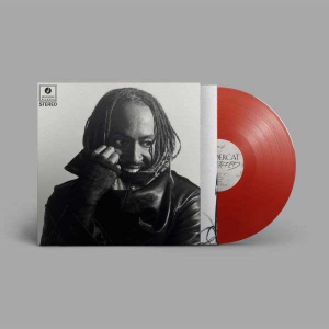 Thundercat - Distracted (Red Vinyl) i gruppen VINYL / Kommende / RnB-Soul hos Bengans Skivbutik AB (5656183)