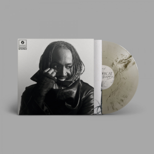 Thundercat - Distracted (Smoke Effect Vinyl) i gruppen VINYL / Kommende / RnB-Soul hos Bengans Skivbutik AB (5656184)