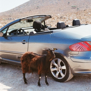 Exek - Prove The Mountains Move i gruppen VINYL / Kommende / Pop-Rock hos Bengans Skivbutik AB (5656303)