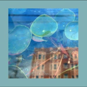 Reds Pinks & Purples The - Acknowledge Kindness i gruppen CD / Kommende / Pop-Rock hos Bengans Skivbutik AB (5656732)