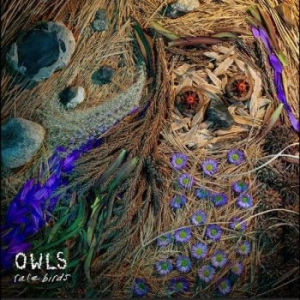 Owls - Rare Birds i gruppen VINYL / Pop-Rock hos Bengans Skivbutik AB (5656762)