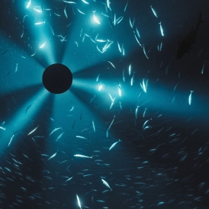 Laurel Halo - Midnight Zone (Original Soundtrack i gruppen VINYL / Kommende / Film-Musikkkal hos Bengans Skivbutik AB (5656764)