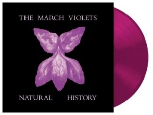 March Violets The - Natural History (Violet Vinyl Lp) R i gruppen VI TIPSER / Record Store Day / RSD 2026 hos Bengans Skivbutik AB (5656901)