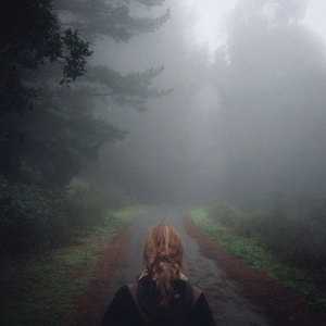 Mono - Under The Pipal Tree (25Th Annivers i gruppen VI TIPSER / Fredagsutgivelser / 2026-03-27 hos Bengans Skivbutik AB (5657391)