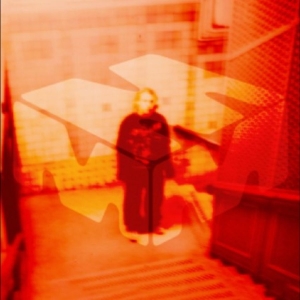 Stüm - Son Of The Forest / Fruit Of Knowle i gruppen VINYL / Kommende / Pop-Rock hos Bengans Skivbutik AB (5657397)