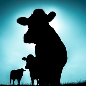 Singülar - Singülar i gruppen CD / Kommende / Jazz hos Bengans Skivbutik AB (5657746)