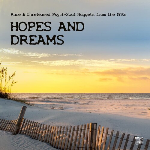 Various Artists - Hopes And Dreams - Rare & Unrelease i gruppen VI TIPSER / Fredagsutgivelser / 2026-03-20 hos Bengans Skivbutik AB (5658162)