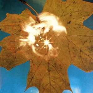 Soyuz - Force Of The Wind i gruppen VINYL / Jazz hos Bengans Skivbutik AB (5658442)