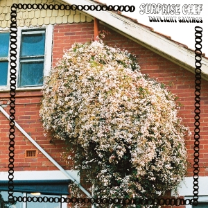 Surprise Chef - Daylight Savings i gruppen VINYL hos Bengans Skivbutik AB (5658443)