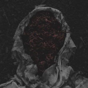 Gorrch - Stillamentum (Vinyl Lp) i gruppen VI TIPSER / Fredagsutgivelser / 2026-03-13 hos Bengans Skivbutik AB (5658632)