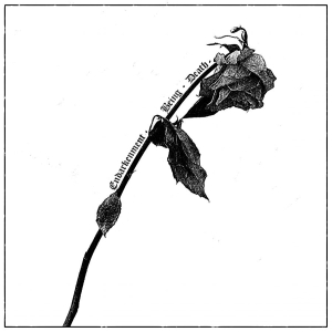 Speglas - Endarkenment, Being & Death i gruppen VI TIPSER / Fredagsutgivelser / 2026-02-27 hos Bengans Skivbutik AB (5658732)