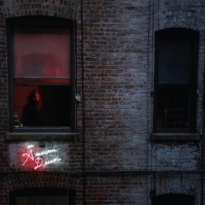 Vietnam - An American Dream i gruppen CD / Pop-Rock hos Bengans Skivbutik AB (565883)