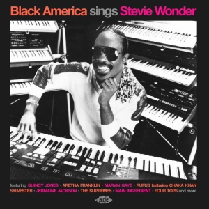 Various Artists - Black America Sings Stevie Wonder i gruppen CD / Kommende / Pop-Rock hos Bengans Skivbutik AB (5659580)