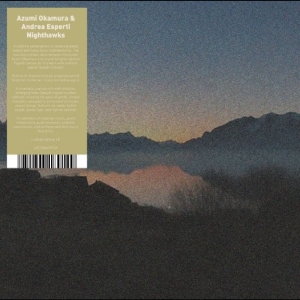 Azumi Okaruma & Andrea Esperti - Nighthawks i gruppen VINYL / Kommende / Pop-Rock hos Bengans Skivbutik AB (5659659)