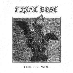 Final Dose - Endless Woe (Mc) i gruppen VI TIPSER / Fredagsutgivelser / 2026-03-13 hos Bengans Skivbutik AB (5659702)