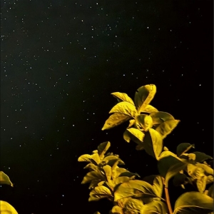 Thomas Peter - Changing Bodies i gruppen VINYL / Kommende / Pop-Rock hos Bengans Skivbutik AB (5660027)