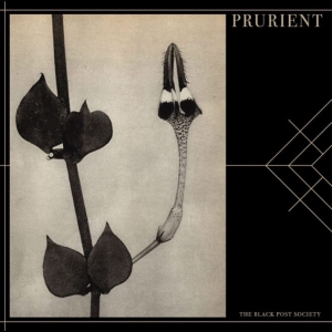 Prurient - The Black Post Society i gruppen CD / Kommende / Pop-Rock hos Bengans Skivbutik AB (5660076)