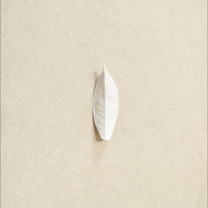 Sylvain Chauveau - The Complexity Of The Simple i gruppen VINYL / Kommende / Pop-Rock hos Bengans Skivbutik AB (5662608)