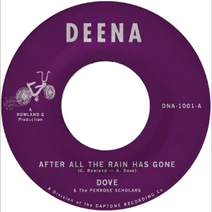 Dove - After All The Rain Has Gone B/W Gri i gruppen VINYL / Kommende / Pop-Rock hos Bengans Skivbutik AB (5663072)