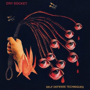 Dry Socket - Self Defense Techniques (2-Color Ga i gruppen VINYL / Kommende / Pop-Rock hos Bengans Skivbutik AB (5663378)