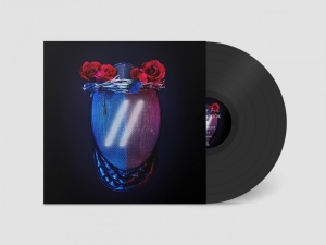 Blackbook - Different (Vinyl Lp) i gruppen VINYL / Kommende / Pop-Rock hos Bengans Skivbutik AB (5663900)