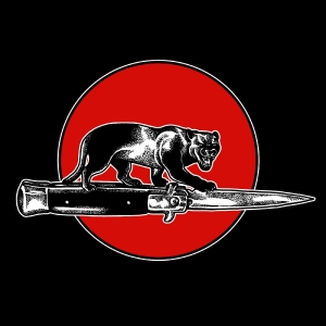 Jim Jones All Stars - Cat Fight i gruppen VINYL / Kommende / Pop-Rock hos Bengans Skivbutik AB (5664112)