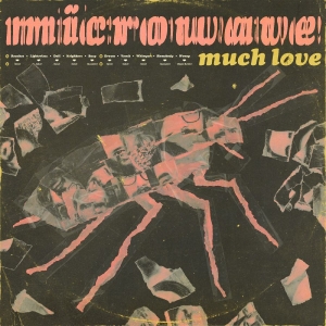Microwave - Much Love (10 Year Anniversary Edit i gruppen VINYL / Kommende / Pop-Rock hos Bengans Skivbutik AB (5664294)