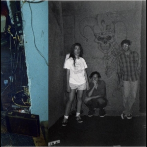 Harry Pussy - You'll Never Play This Town Again i gruppen VI TIPSER / Fredagsutgivelser / 2026-03-20 hos Bengans Skivbutik AB (5664295)